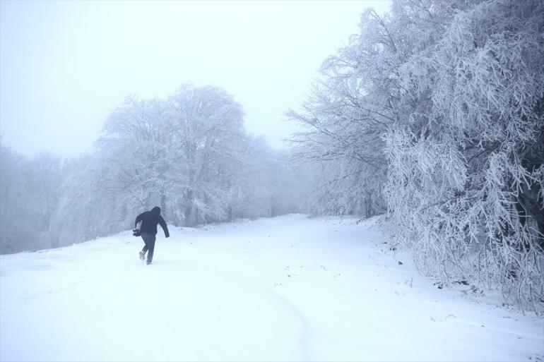 6784bba6af665e496947d26c.jpg
