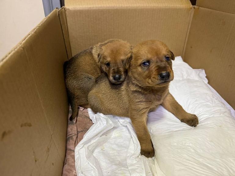 67878e74d6359c7241942e92.jpg