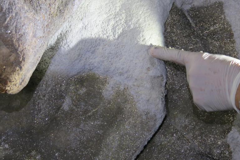 Türkiyede bir ilk 170 metre uzunluğundaki mağarada bulundu: İlaç yapımında kullanılacak