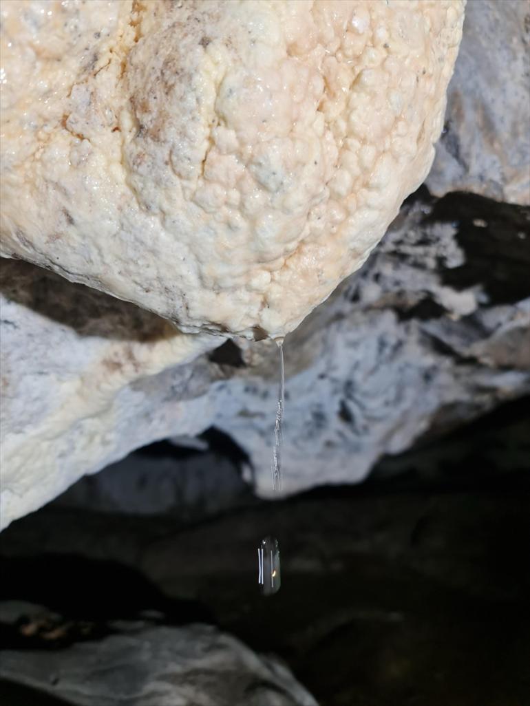 Türkiyede bir ilk 170 metre uzunluğundaki mağarada bulundu: İlaç yapımında kullanılacak