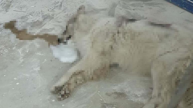 67939d0b2218090528484fdd.jpg