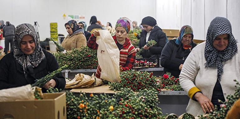 Sevgililer Günü için Antalya’dan 30 ülkeye çiçek ihracatı