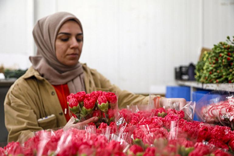 Sevgililer Günü için Antalya’dan 30 ülkeye çiçek ihracatı