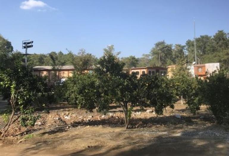 Köyceğizde inzivaya çekilmedim Mühendislikten oyunculuğa...