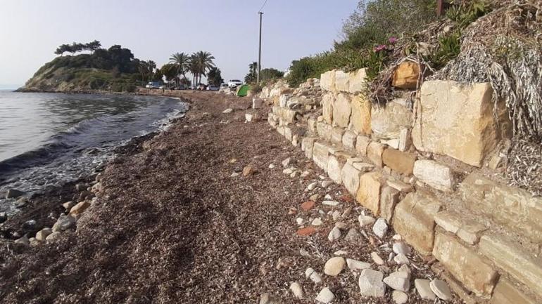 Bir vatandaş fark etti: Dalgalar aşındırınca hazine ortaya çıktı