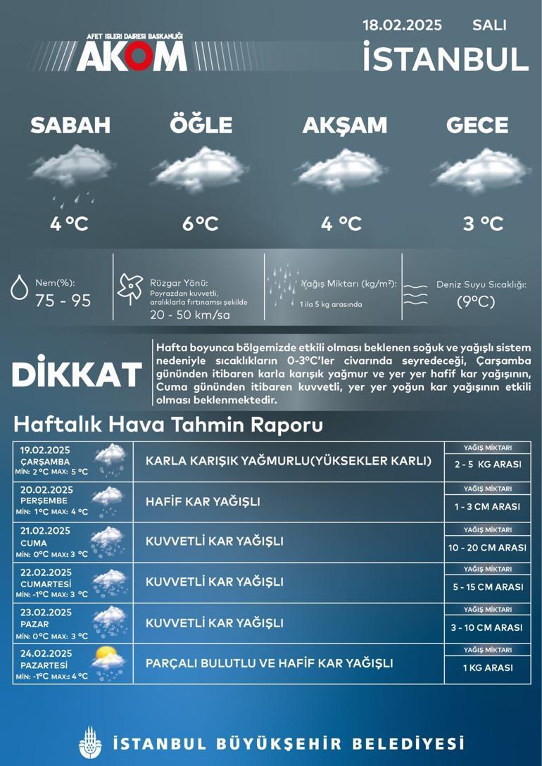 67b4523a296bc73dd2a08ad2.jpg