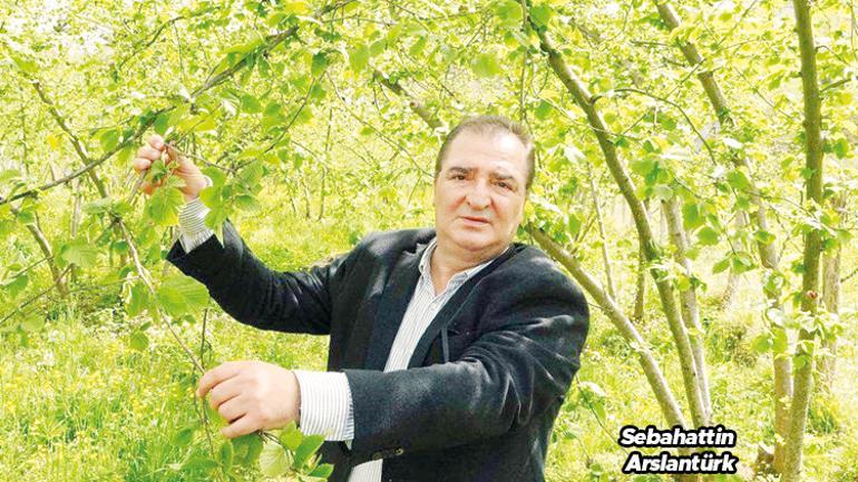 ‘Samuray’ işbaşında... 1 milyon arı haziranda bahçeye salınacak