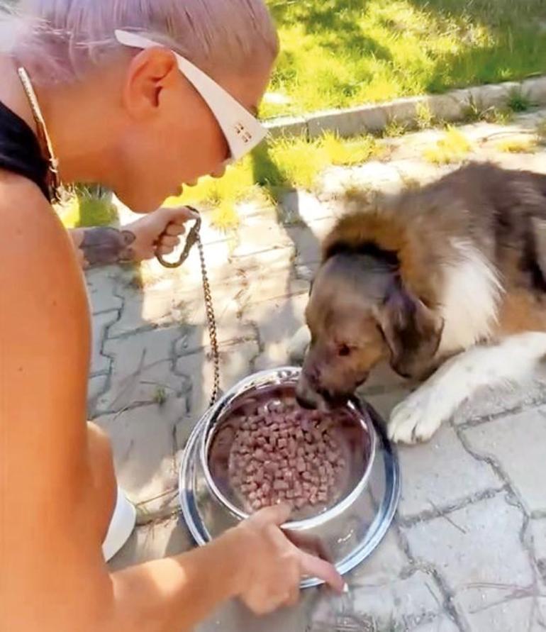 Cucina a casa e nutre gli animali randagi