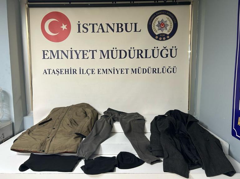 67bed1f593372ed4c65c5e2b.jpg