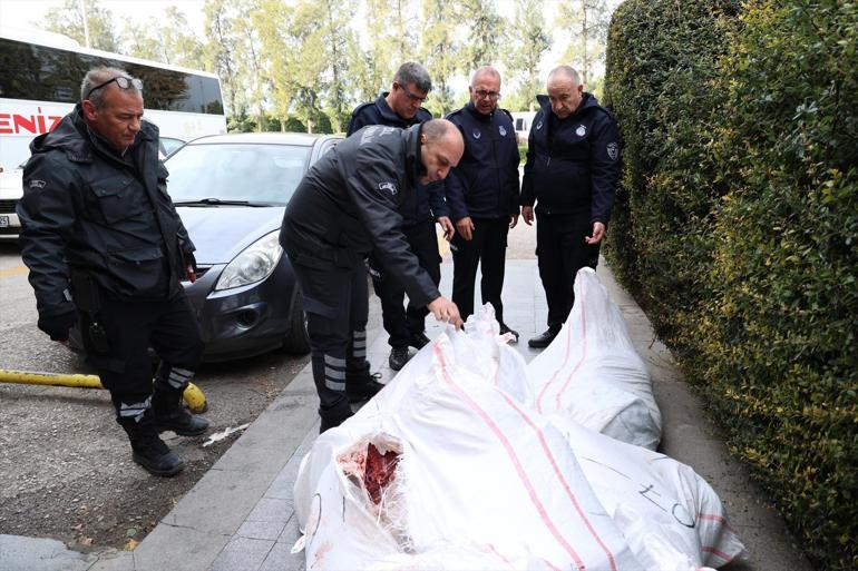 Antalyada otobüs terminalinde çuvallarda taşınan 1,5 ton ciğer ele geçirildi