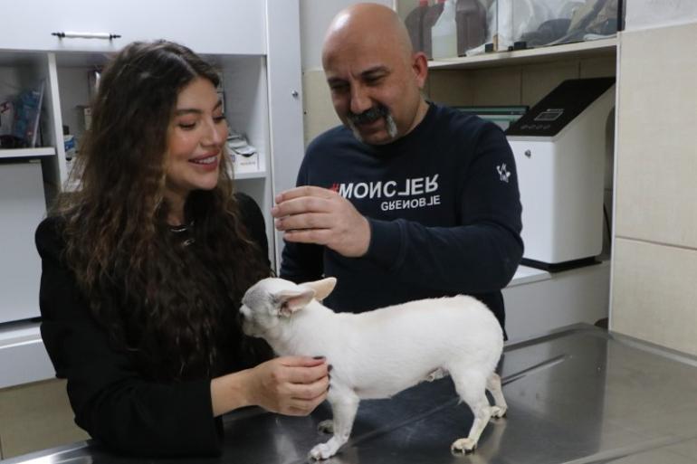 Sahibi artık uyku uyuyamaz hale gelmişti... Ameliyat olan köpek sağlığına kavuştu