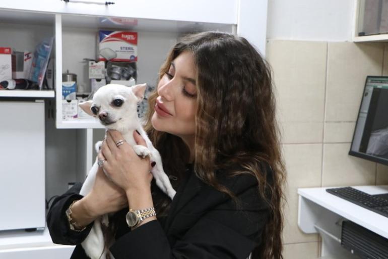 Sahibi artık uyku uyuyamaz hale gelmişti... Ameliyat olan köpek sağlığına kavuştu