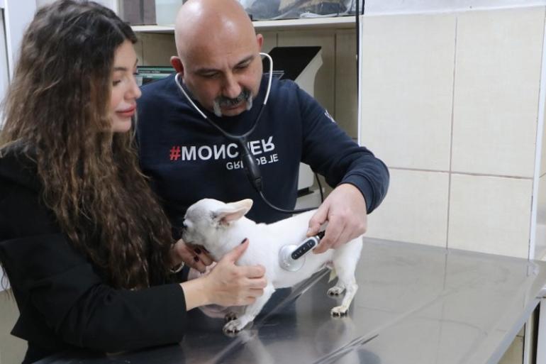 Sahibi artık uyku uyuyamaz hale gelmişti... Ameliyat olan köpek sağlığına kavuştu