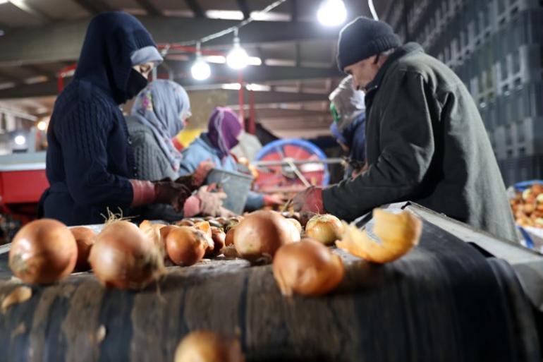 Devlet desteğiyle başladığı işte 30 kişiyi istihdam ediyor... Yıllık 72 bin ton üretime ulaştı