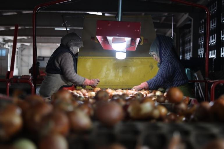 Devlet desteğiyle başladığı işte 30 kişiyi istihdam ediyor... Yıllık 72 bin ton üretime ulaştı