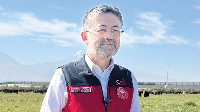 Tarım ve Orman Bakanlığı açıkladı: 13 yeni zeytin çeşidine tescil