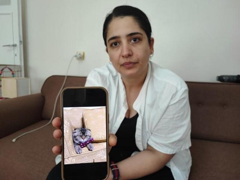 Evliliğinin kaderi bu kediye bağlı... Anlatırken gözyaşlarını tutamadı
