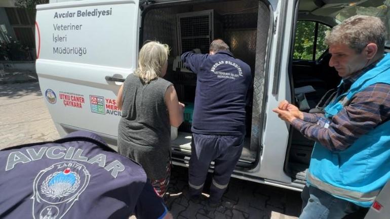 Avcılarda mahallelinin şikayet ettiği eve girildi, kokunun kaynağı ortaya çıktı