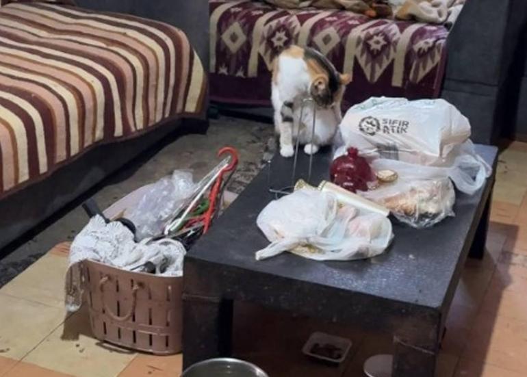 Avcılarda mahallelinin şikayet ettiği eve girildi, kokunun kaynağı ortaya çıktı