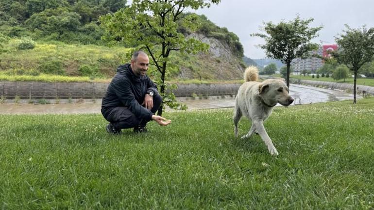  Karşılarında köpeği görünce şaşkına döndüler
