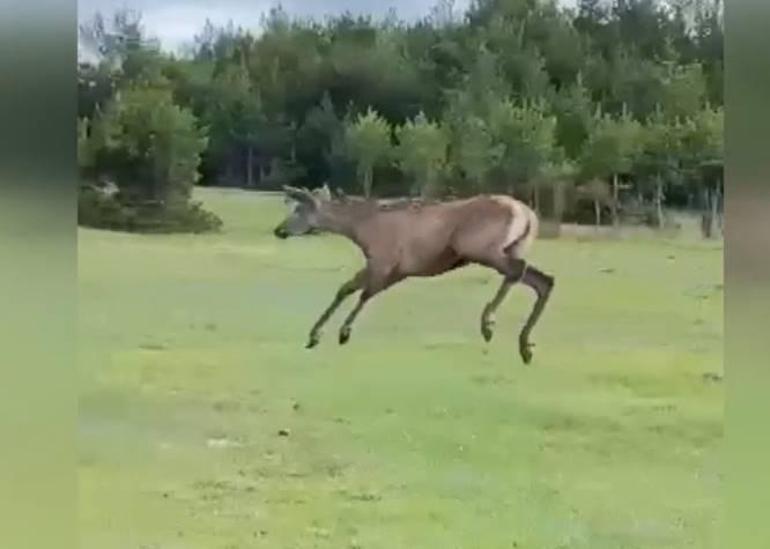  Mutlulukları görülmeye değer... İşte kalpleri ısıtan o anlar