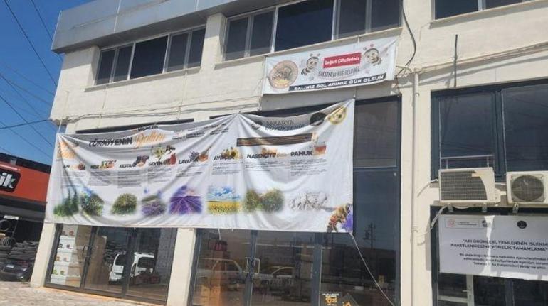Kraliçe arılar haciz kurbanı oldu