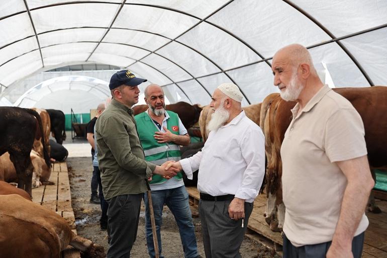 Bağcılarda en büyük kurbanlık Şampiyon oldu 1 ton 150 kilo ağırlığında