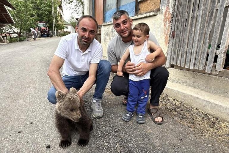  Annesiz kalan sevimli yavru ayı korumaya alındı