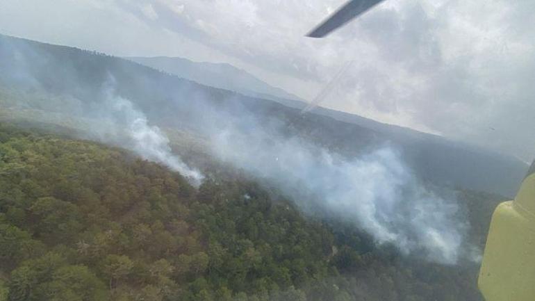 Antalya ve Aydında korkutan orman yangını