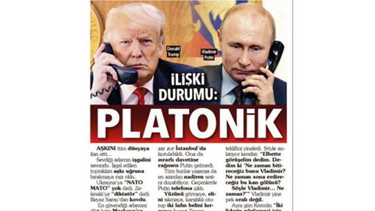Şam havucu Washington sopası