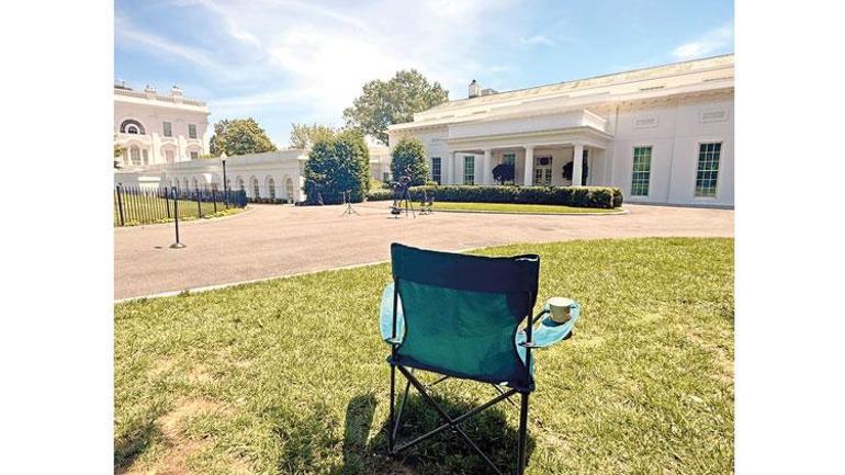 Şam havucu Washington sopası