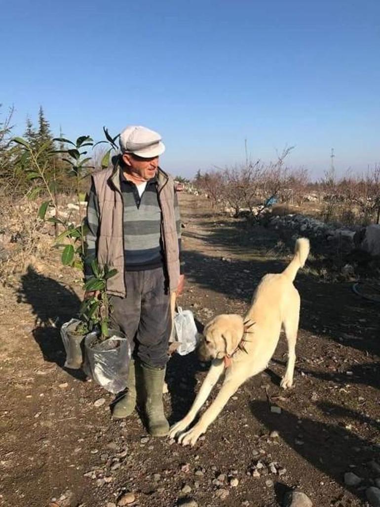Film gibi hayatının arkasında acıklı bir hikaye vardı... Rahim Dede, elleriyle kurduğu ormana defnedildi