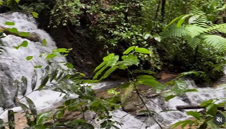 Kameralar, sahne, alkışlar geride kaldı... Ünlü şarkıcı vahşi ormanda yeni hayat kurdu... Hava ısınırsa derede serinliyorlar