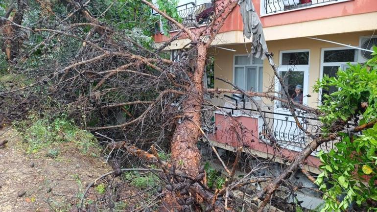 Rüzgar ve yağmura dayanamadı Binanın üzerine devrildi