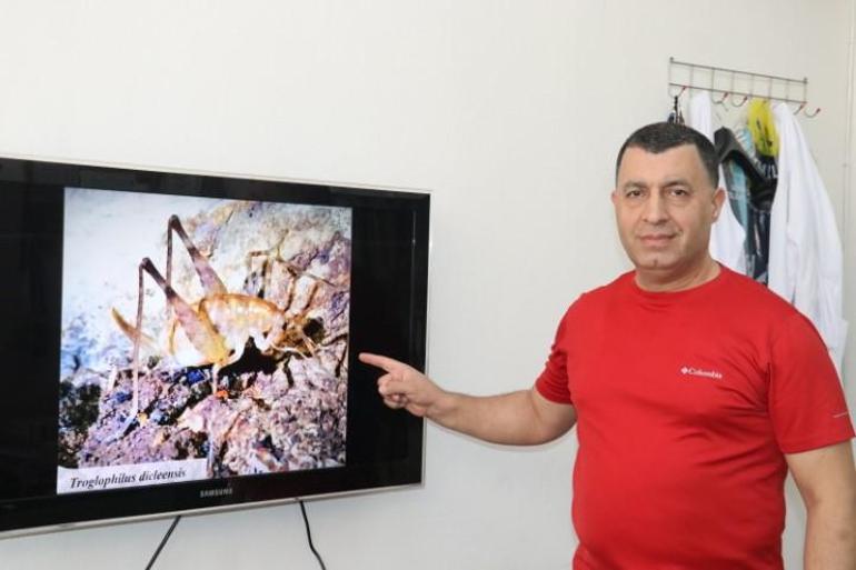 Diclede keşfedildi, ilçenin adı verildi... Daha önce böyle bir cinse rastlanmamıştı