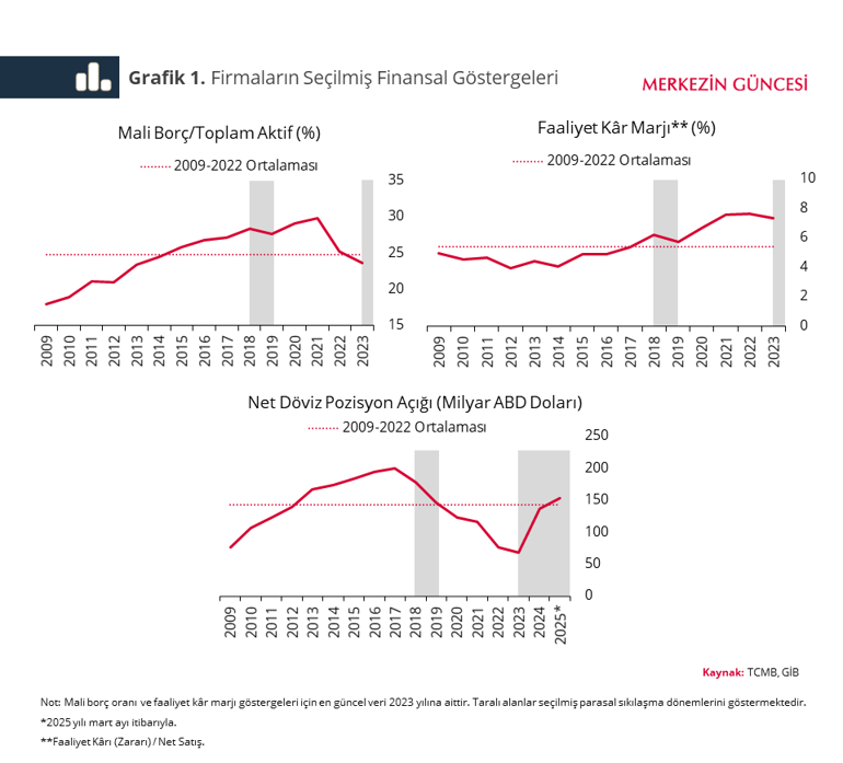 TCMB: Temerrüt oranlarında kayda değer artış olmadı