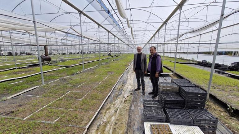 Emekli oldu çiftçiliğe başladı 12 ay üretim yapıyor