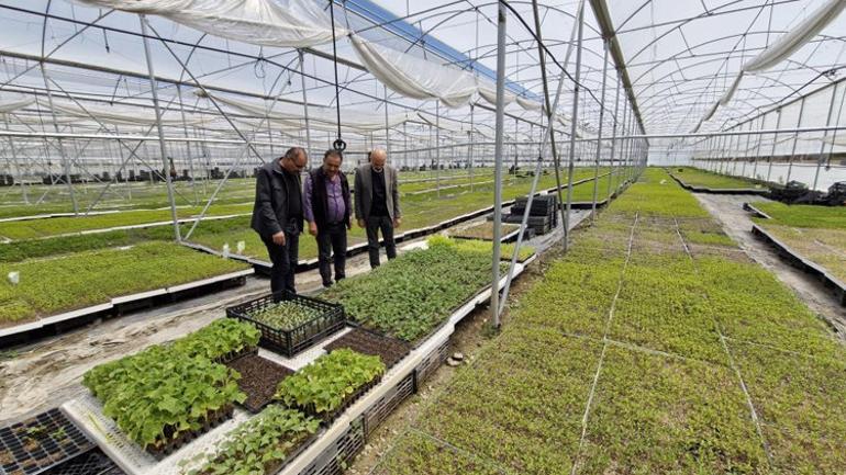 Emekli oldu çiftçiliğe başladı 12 ay üretim yapıyor