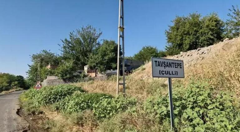 Narin davasında yeni gelişme Anne Güran yeninden başvurdu