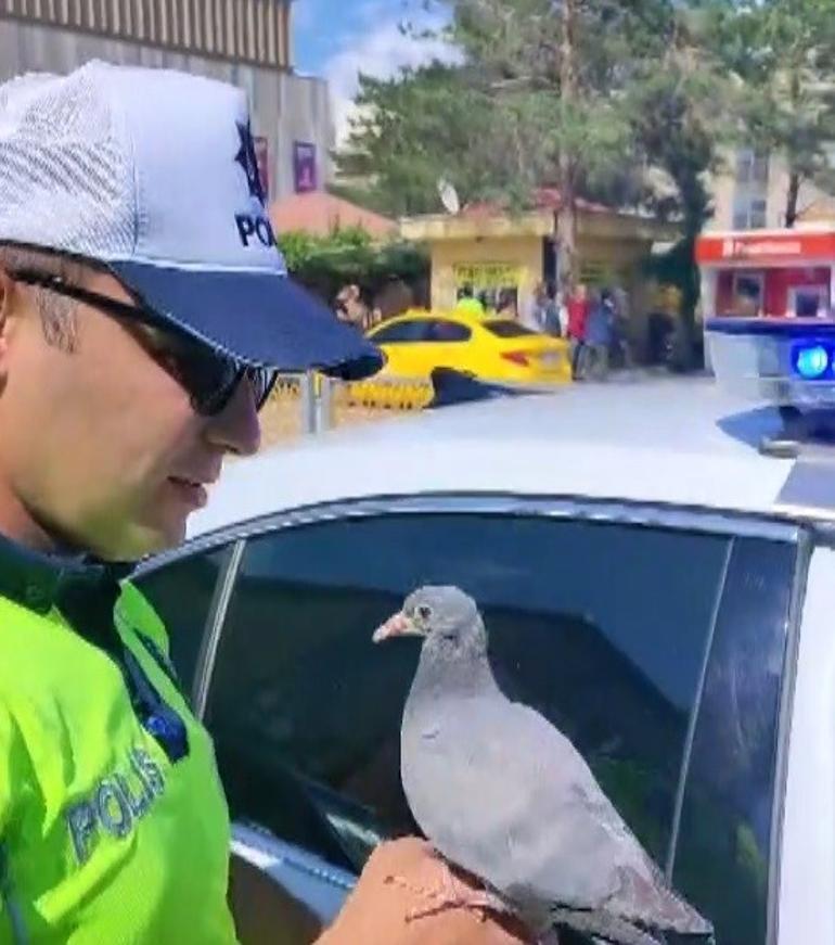  Yürekten alkışlıyoruz