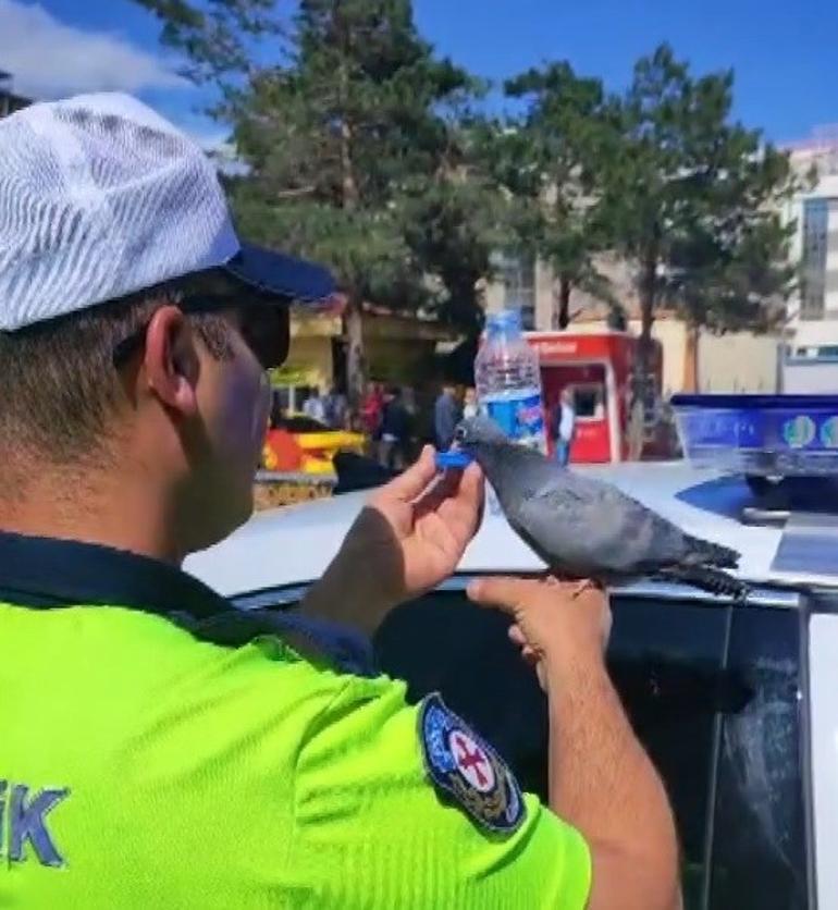  Yürekten alkışlıyoruz