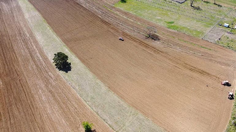 42 çiftçi maliyetleri düşürmek için güçlerini birleştirdi