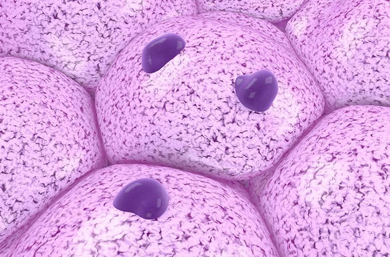 Yumrular, şişlikler, açıklanamayan kanamalar ve morluklar... Fark etmek çok kolay, ihmali ölümcül