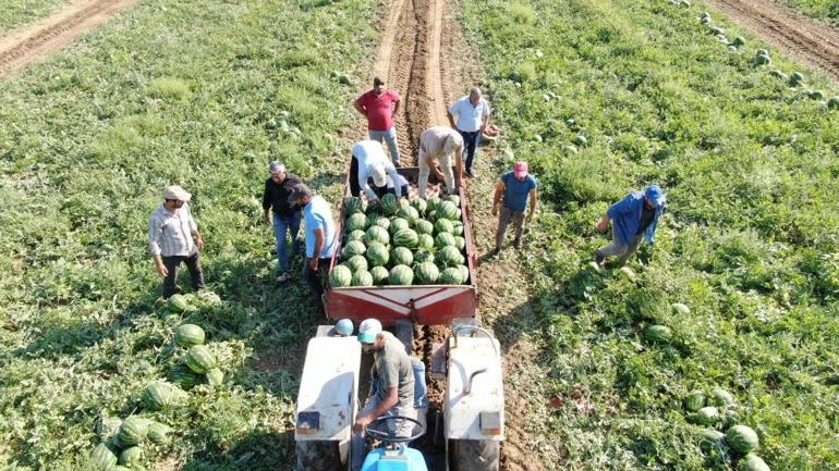 Türkiyenin gözü burada Karpuz için saatlerce bekliyorlar