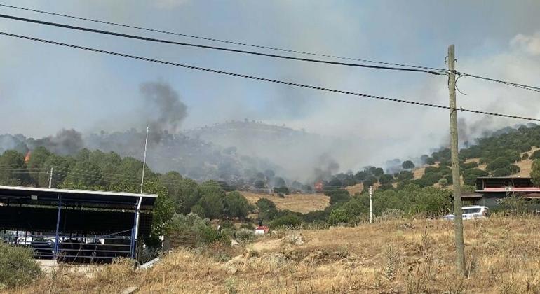 Aydın Valisinden korkutan açıklaması: Şu an itibariyle yangın hızla yayılıyor