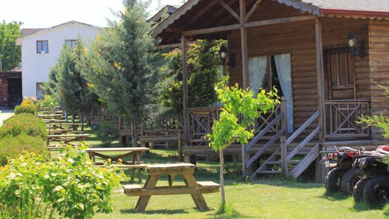 Babaannenin tarlasından 69 ülkeye Kırsaldan doğan uluslararası başarı