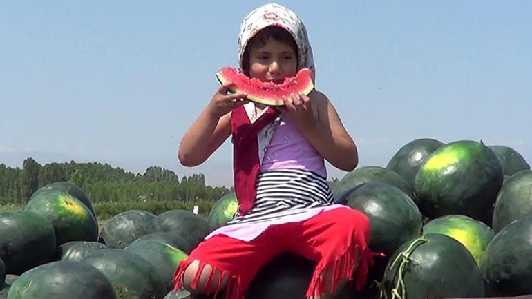 Doğu Anadolunun Çukurovasında hedef 4 kez hasat