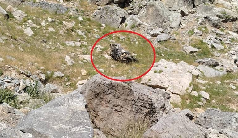 Bilirkişi heyetinin bulunduğu araç şarampole yuvarlandı: 5 ölü