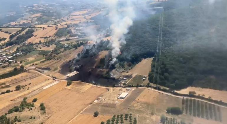 Bursa ve Aydında alevlerle mücadele Havadan ve karadan müdahale ediliyor
