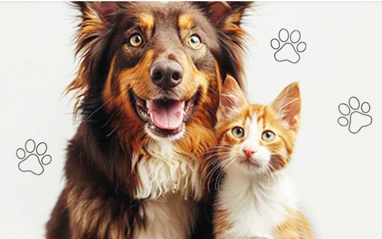 Hedef 120 bin ‘yol arkadaşı’